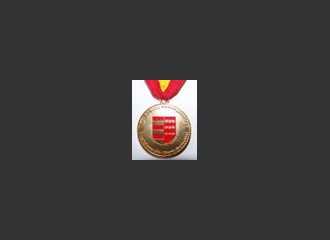 Obrazek: Medal za wybitne osiągnięcia